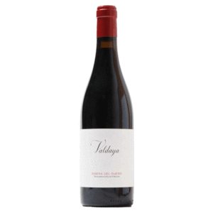 Ribera del Duero Bodegas Valdaya 'Valdaya'